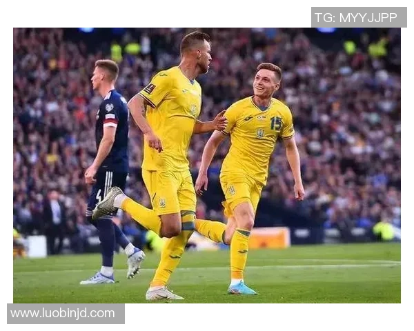 聚焦波黑足球现役球星展望球队未来发展与国际赛场竞争力